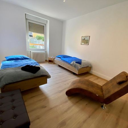 Appartement Le Lion Belfort Kültér fotó